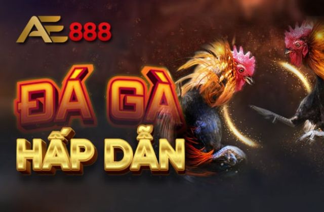 Đá gà Ae888 - Trực tiếp đá gà Thomo số 1 Việt Nam