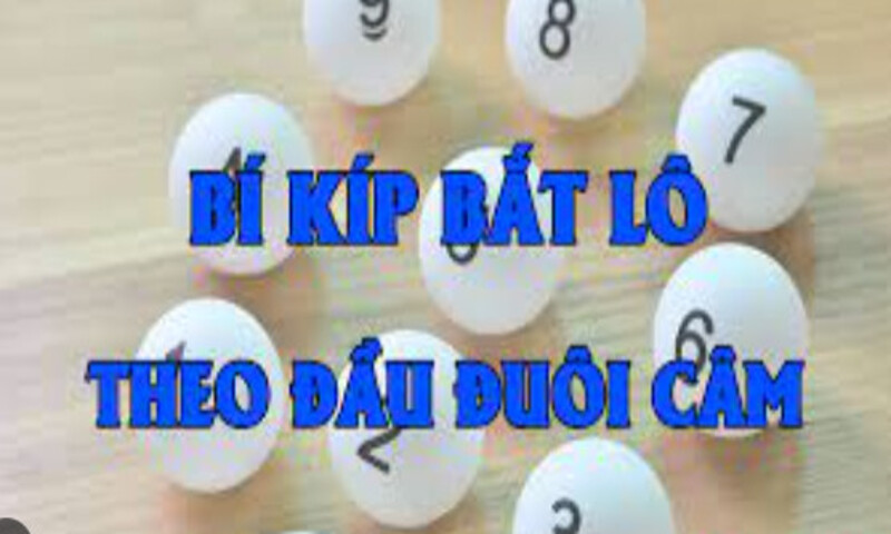 Soi Cáº§u Äáº·c Biá»‡t HÃ´m Nay - TÃ¬m Hiá»ƒu CÃ¡ch Soi Cáº§u Hay Hiá»‡u Quáº£