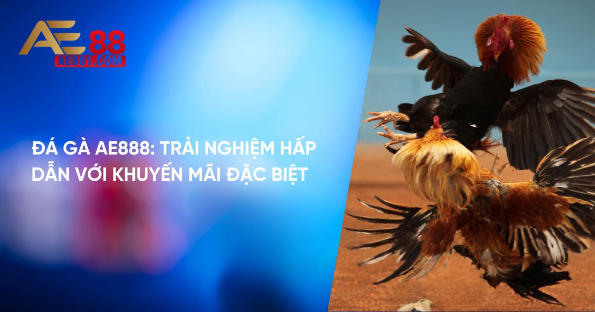Bồ Gà Tonhon - Hưng Cần Thơ Và Hành Trình Sư Kê Huyền Thoại