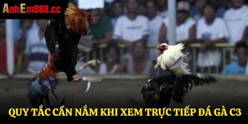 Trực Tiếp Đá Gà C3 - Link Xem Đá Gà Không Giật Lag 2026