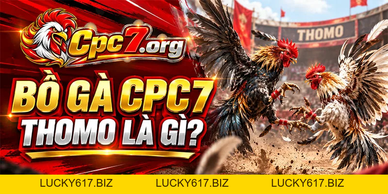 CPC7 - Trực Tiếp Đá Gà Bồ C7 Thomo Mới Nhất Hôm Nay