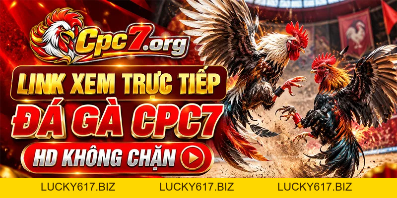 CPC7 - Trực Tiếp Đá Gà Bồ C7 Thomo Mới Nhất Hôm Nay